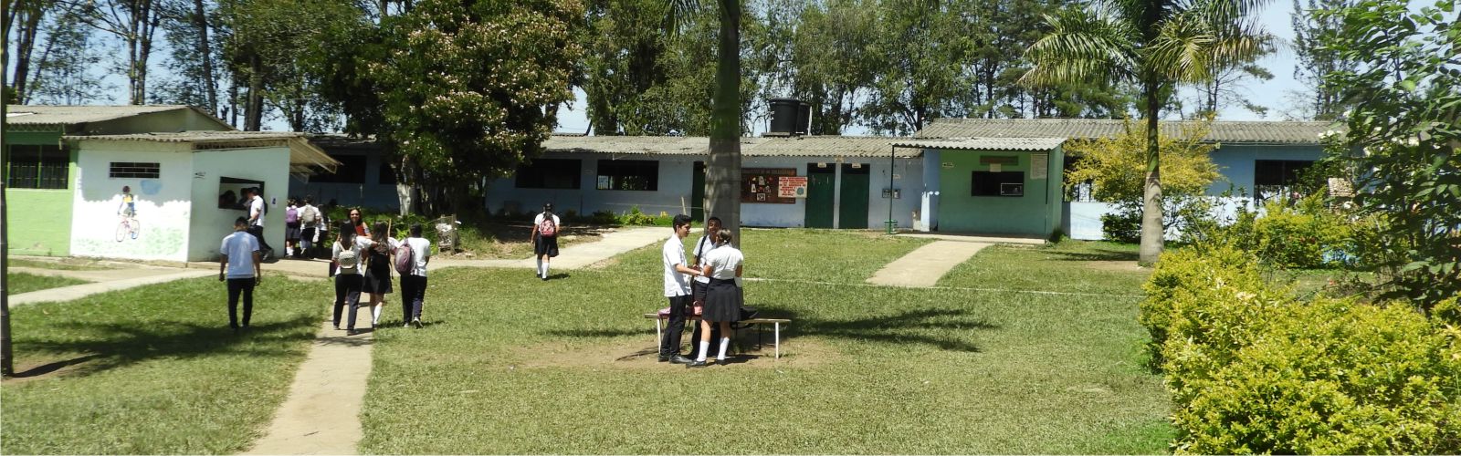 Colegio